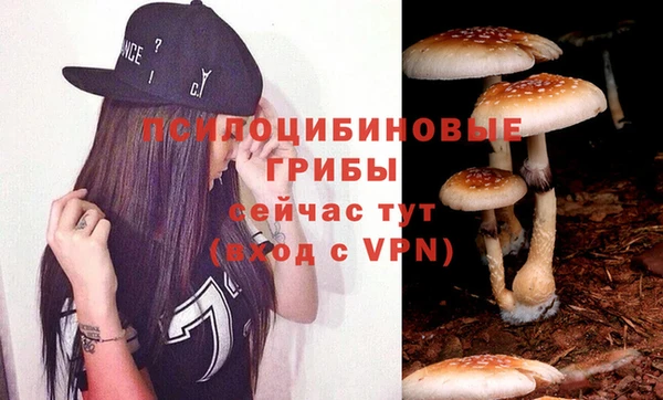 2c-b Верхнеуральск