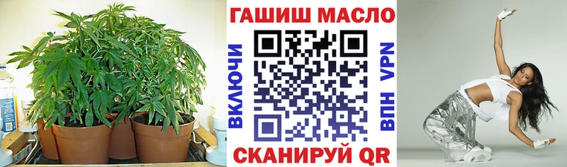 OMG онион  Обнинск  ТГК THC oil 