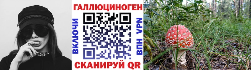 Псилоцибиновые грибы MAGIC MUSHROOMS  Обнинск 